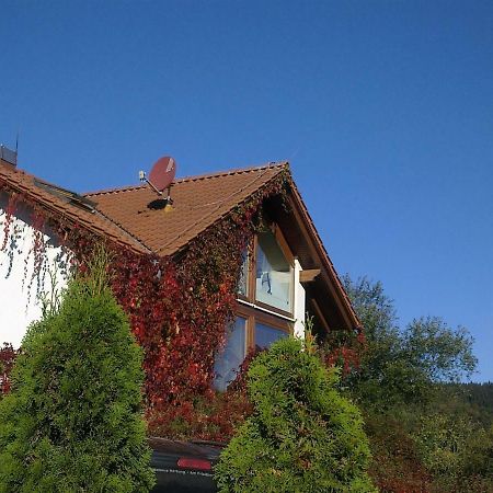 Ferienhaus Am Loeffelberghuettchen Gießübel Exteriör bild